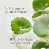 Beauty of Joseon Light On Serum Centella + Vitamin C – Brightening & Soothing Korean Face Serum
